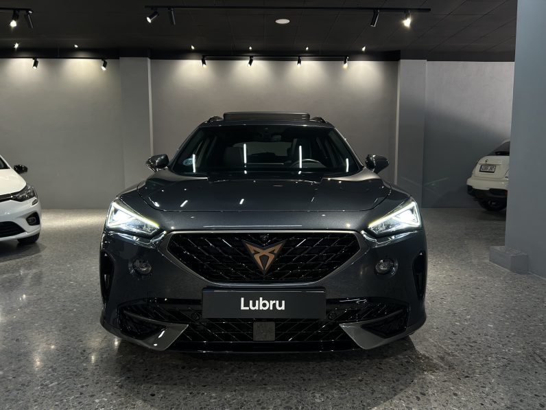 
								Cupra Formentor 1.5 TSI full									